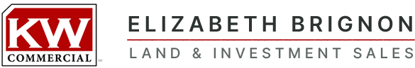 Elizabeth Brignon logo